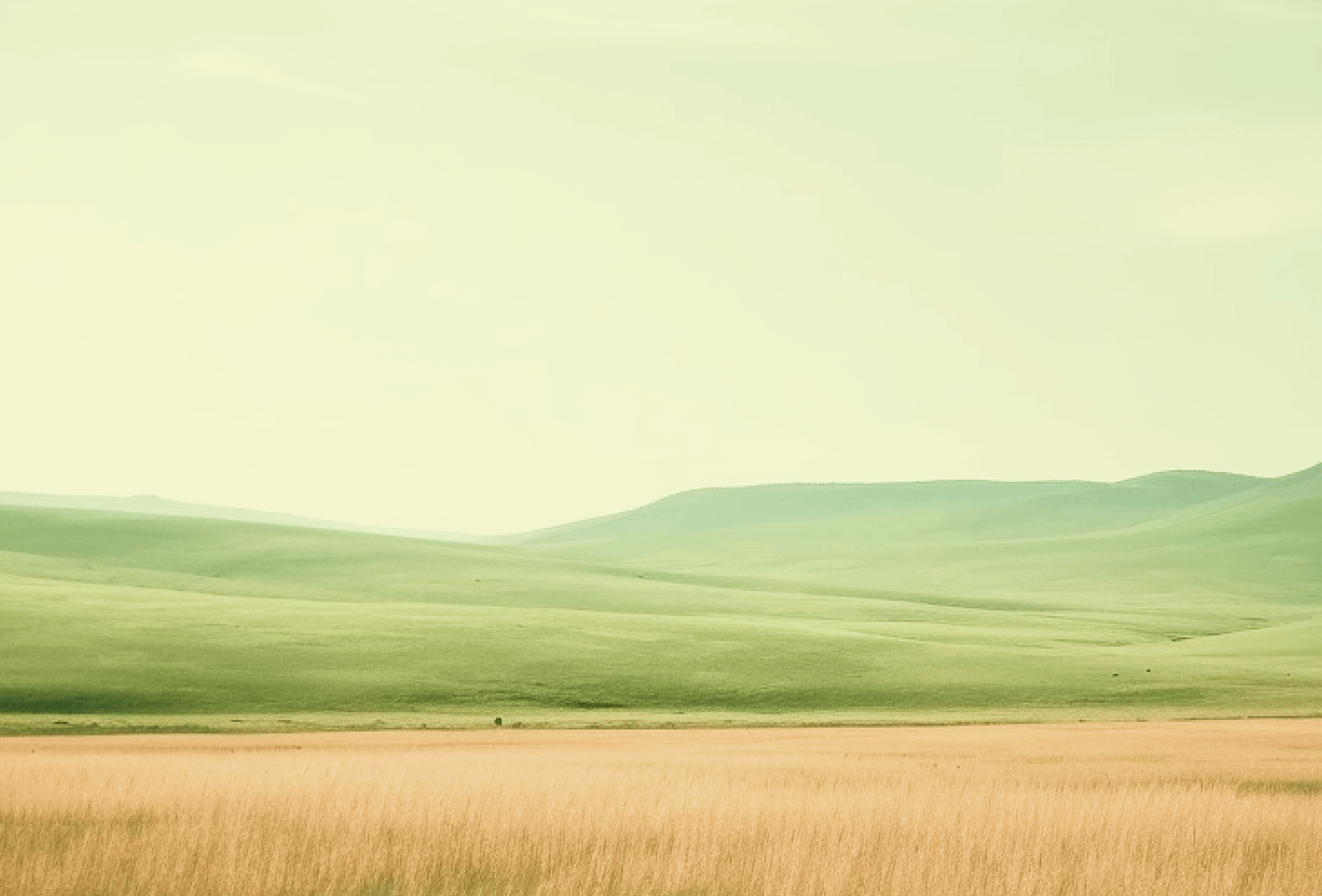 0_1 1 (1)